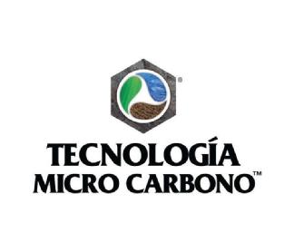 TECNOLOGIA MICRO CARBONO