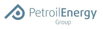 P PETROIL ENERGY GROUP