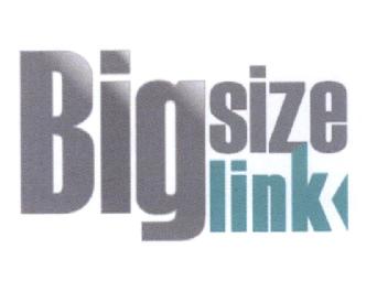 BIG SIZE LINK