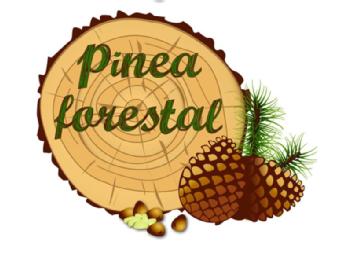 PINEA FORESTAL