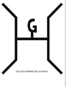 YEGUADA DEHESA DEL QUEJIGAL