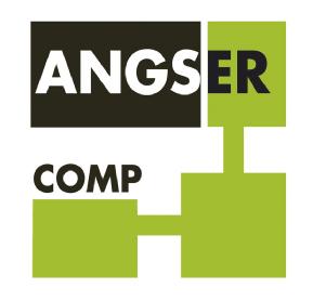 ANGSER COMP