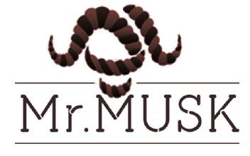 MR.MUSK