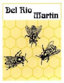 DEL RIO MARTIN