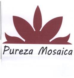 PUREZA MOSAICA