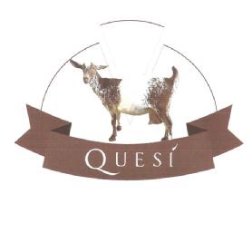 QUESI
