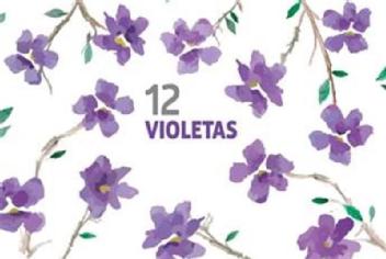 12 VIOLETAS