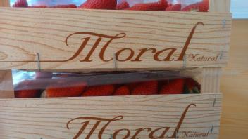 MORAL NATURAL