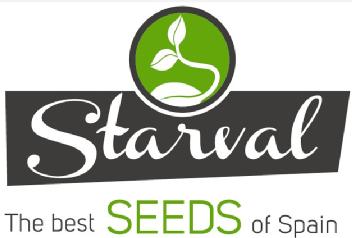 STARVAL THE BEST SEEDS OF SPAIN