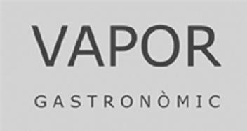 VAPOR GASTRONOMIC