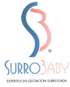 SURROBABY EXPERTOS EN GESTACION SUBROGADA