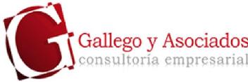 G GALLEGO Y ASOCIADOS CONSULTORIA EMPRESARIAL
