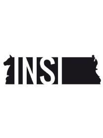 INSI