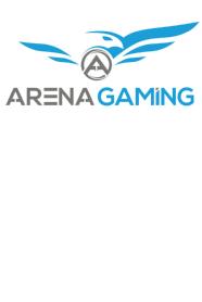 ARENA GAMING