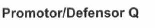 PROMOTOR/DEFENSOR Q