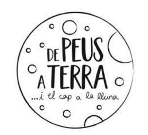 DE PEUS A TERRA I EL CAP A LA LLUNA