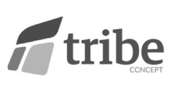 TRIBE CONCEPT