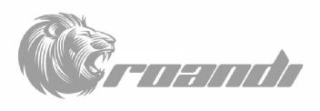 ROANDI