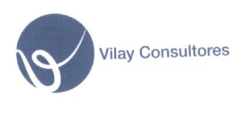VILAY CONSULTORES