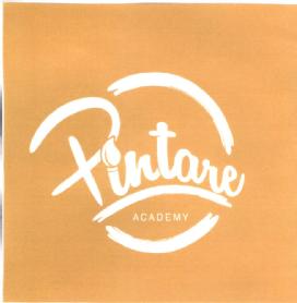 PINTARE ACADEMY