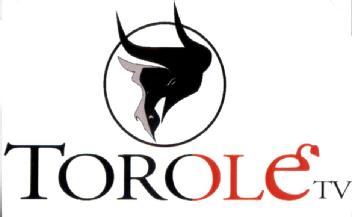 TOROLE TV