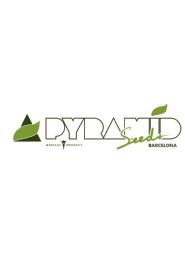PYRAMID SEEDS