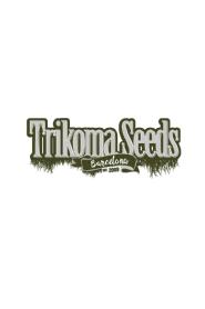 TRIKOMA SEEDS BARCELONA EST 2009