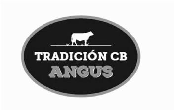 TRADICION CB ANGUS