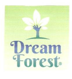 DREAM FOREST