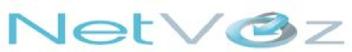 NETVOZ