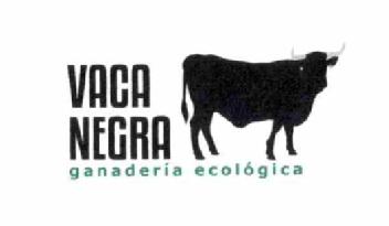 VACA NEGRA GANADERIA ECOLOGICA