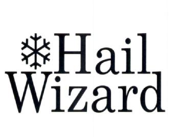 HAIL WIZARD