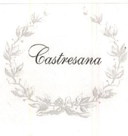 CASTRESANA