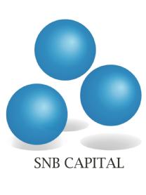 SNB CAPITAL