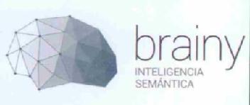 BRAINY INTELIGENCIA SEMANTICA