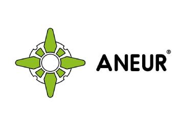 ANEUR