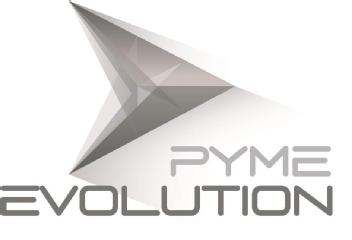 PYME EVOLUTION