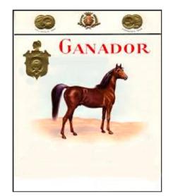 GANADOR