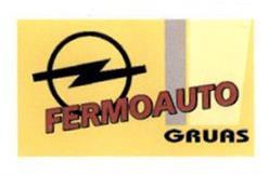 FERMOAUTO GRUAS