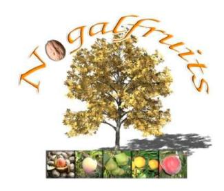 NOGAL FRUITS