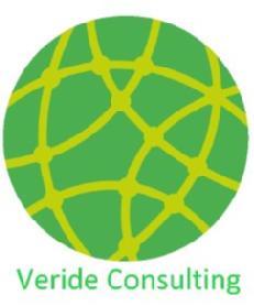 VERIDE CONSULTING