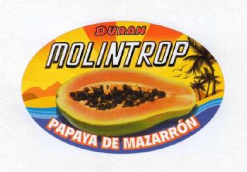 DURAN MOLINTROP PAPAYA DE MAZARRON