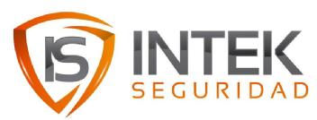 IS INTEK SEGURIDAD