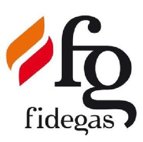 FG FIDEGAS