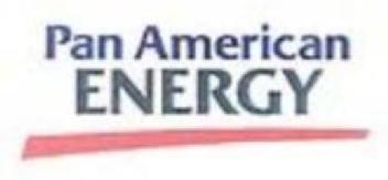PAN AMERICAN ENERGY