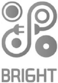 BRIGHT, FIG