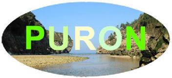 PURON