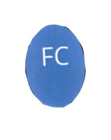 FC