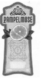 PAMPELMUSE