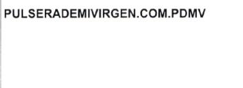 PULSERADEMIVIRGEN.COM.PDMV
